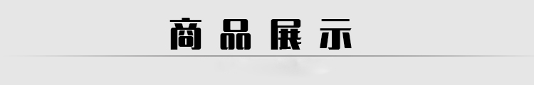 首诺信车充